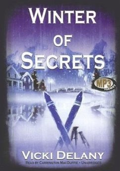 Winter of Secrets - Delany, Vicki