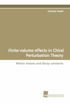 Finite volume effects in Chiral Perturbation Theory - Haefeli, Christoph