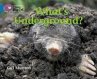 What's Underground - Bild 1