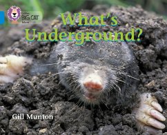 What's Underground - Munton, Gill