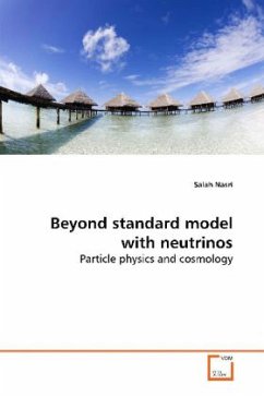 Beyond standard model with neutrinos - Nasri, Salah
