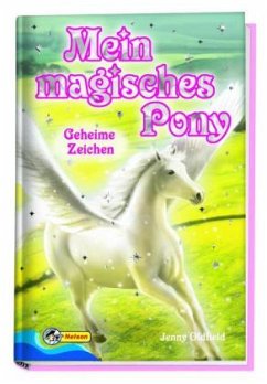 Cover Geheime Zeichen
