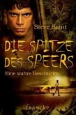 Die Spitze des Speers