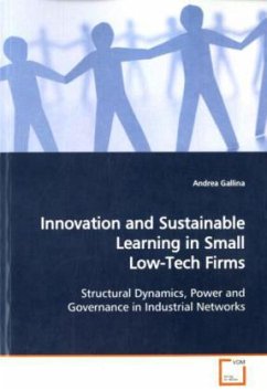 Innovation and Sustainable Learning in Small Low-Tech Firms - Gallina, Andrea