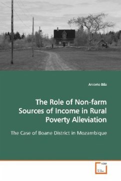 The Role of Non-farm Sources of Income in Rural Poverty Alleviation - Bila, Aniceto