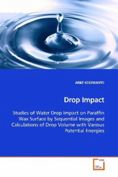 Drop Impact - KOESWANTO, ARIEF