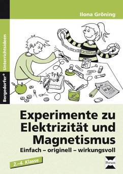 Experimente zu Elektrizität und Magnetismus - Gröning, Ilona