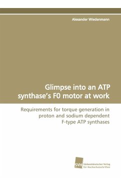 Glimpse into an ATP synthase¿s F0 motor at work - Wiedenmann, Alexander