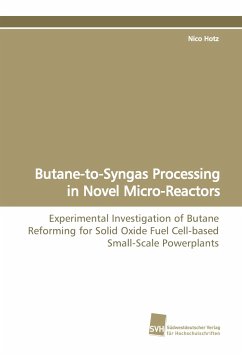 Butane-to-Syngas Processing in Novel Micro-Reactors - Hotz, Nico