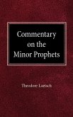 Commentary on the Minor Prophets