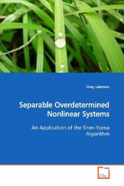 Separable Overdetermined Nonlinear Systems - Lukeman, Greg