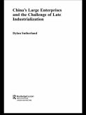 China's Large Enterprises and the Challenge of Late Industrialisation