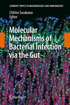 Molecular Mechanisms of Bacterial Infection via the Gut - Sasakawa, Chihiro (Bandherausgegeber)