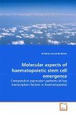 Molecular aspects of haematopoietic stem cell emergence