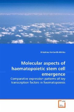 Molecular aspects of haematopoietic stem cell emergence - Herberth-Minko, Krisztina