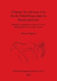 Chasser les chevaux à la fin du Paléolitique dans le Bassin parisien