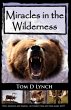 Miracles in the Wilderness - Bild 1