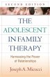 The Adolescent in Family Therapy - Bild 1