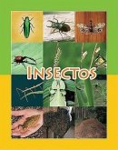 Insectos