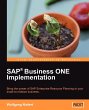 SAP Business ONE Implementation - Bild 1