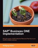 SAP Business ONE Implementation