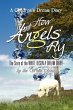 How Angels Fly - Bild 1