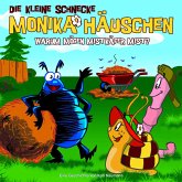 Warum mögen Mistkäfer Mist? / Die kleine Schnecke, Monika Häuschen, Audio-CDs Nr.6