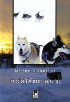Cover In die Dämmerung