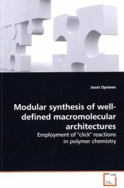 Modular synthesis of well-defined macromolecular architectures - Opsteen, Joost