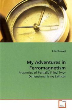 My Adventures in Ferromagnetism - Faraggi, Eshel