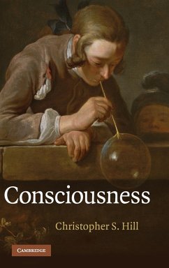 Consciousness - Hill, Christopher S.