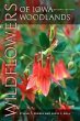 Wildflowers of Iowa Woodlands - Bild 1