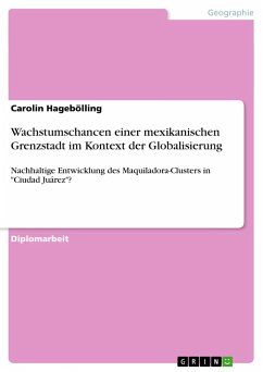 Wachstumschancen einer mexikanischen Grenzstadt im Kontext der Globalisierung - Hagebölling, Carolin