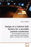 Design of a Cabinet Safe System for a portable particle accelerator