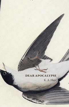 Dear Apocalypse - Hays, K. A.