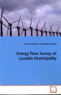 Energy Flow Survey of Ljusdals Municipality