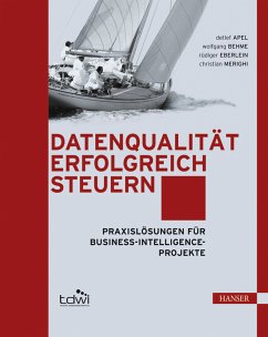 Datenqualität erfolgreich steuern. Praxislösungen für Business-Intelligence-Projekte - Apel, Detlef