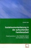 Sozialraumorientierung in der aufsuchenden Familienarbeit