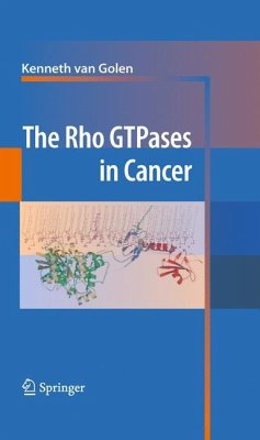 The Rho GTPases in Cancer - Golen, Kenneth (Hrsg.)