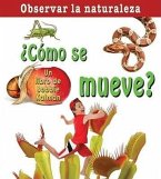 ¿Cómo Se Mueve? (How Does It Move?)