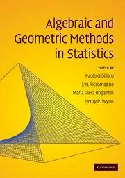Algebraic and Geometric Methods in Statistics - Gibilisco, Paolo / Riccomagno, Eva / Rogantin, Maria-Piera / Wynn, Henry P. (ed.)