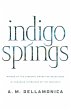 Indigo Springs - Bild 1