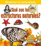 ¿Qué Son Las Estructuras Naturales? (What Are Natural Structures?)