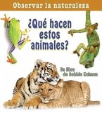 ¿Qué Hacen Estos Animales? (What Are These Animals Doing?)