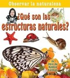 ¿Qué Son Las Estructuras Naturales? (What Are Natural Structures?)