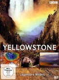 Yellowstone - Legendäre Wildnis