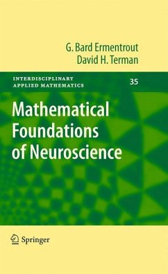 Mathematical Foundations of Neuroscience - Ermentrout, G. Bard;Terman, David H.