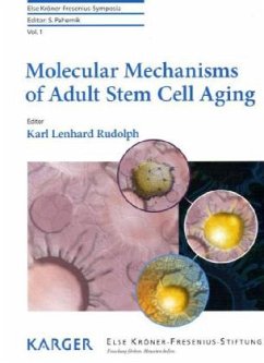 Cover Molecular Mechanisms of Adult Stem Cell Aging