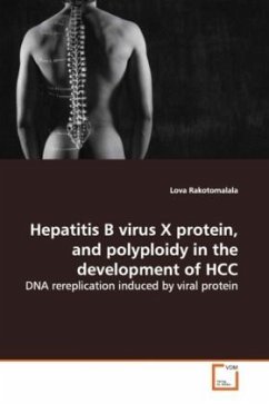 Hepatitis B virus X protein, and polyploidy in the development of HCC - Rakotomalala, Lova