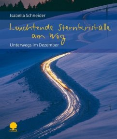 Leuchtende Sternkristalle am Weg - Schneider, Isabella